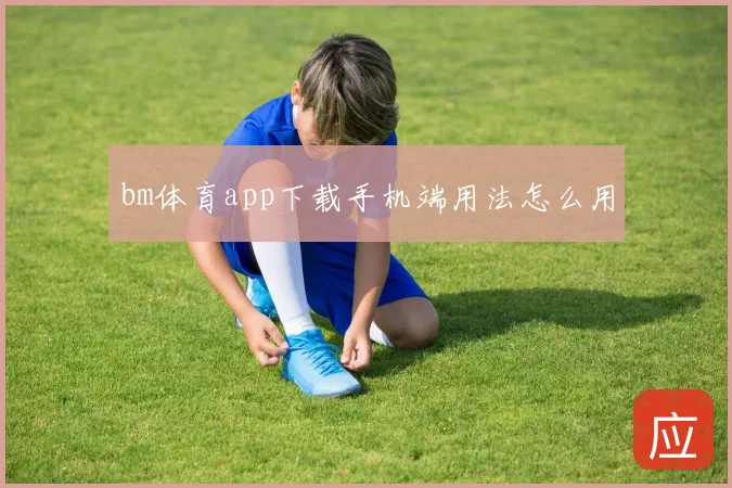 bm体育app下载手机端用法怎么用