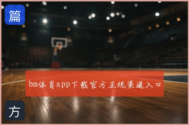 bm体育app下载官方正规渠道入口