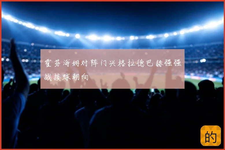 霍芬海姆对阵门兴格拉德巴赫强强战接球朝向
